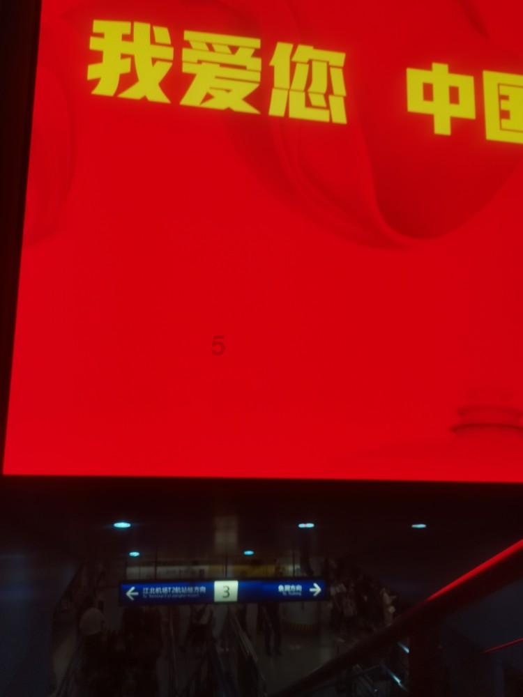 动物帮帮忙保卫家园
